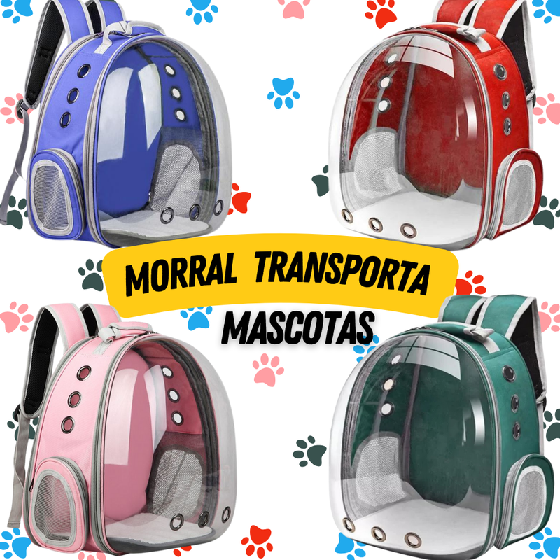 Morral De Transporte Para Perros y Gatos Cubierta en Acrilico🎒🐾