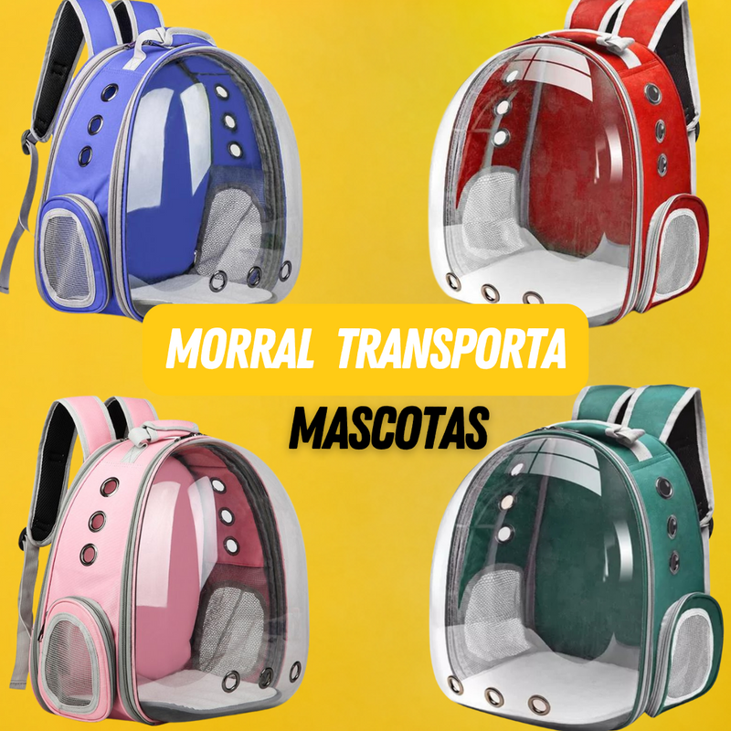 Morral De Transporte Para Perros y Gatos Cubierta en Acrilico🎒🐾