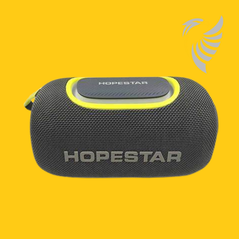 Parlante HOPESTAR P65🎶🔊